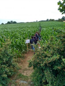 labyrinthe-vendee-entree