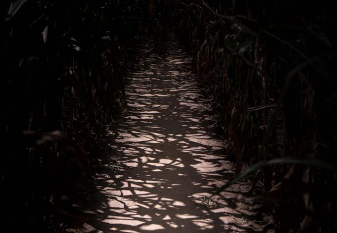 139-labyrinthe-vendee-vallee-nuit.jpg