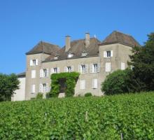 231-chateau-de-la-greffiere-bourgogne-oenotourisme-musee.jpg