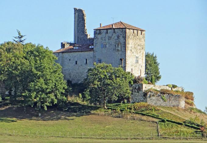 224-chateau_de_madaillan_-4.jpg