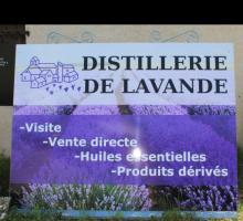 408-distillerie-lavande-bio-pusteaux.jpg