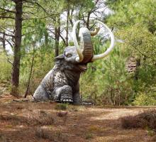 540-parc-prehistoire-malansac.jpg