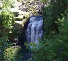 626-vedettes-panoramiques-du-saut-du-doubs-villers-le-lac.jpg