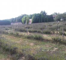 786-les-labyrinthes-de-hauterives-drome.jpg
