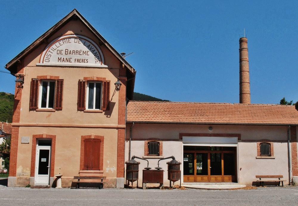 316-musee-distillerie-lavande.jpg