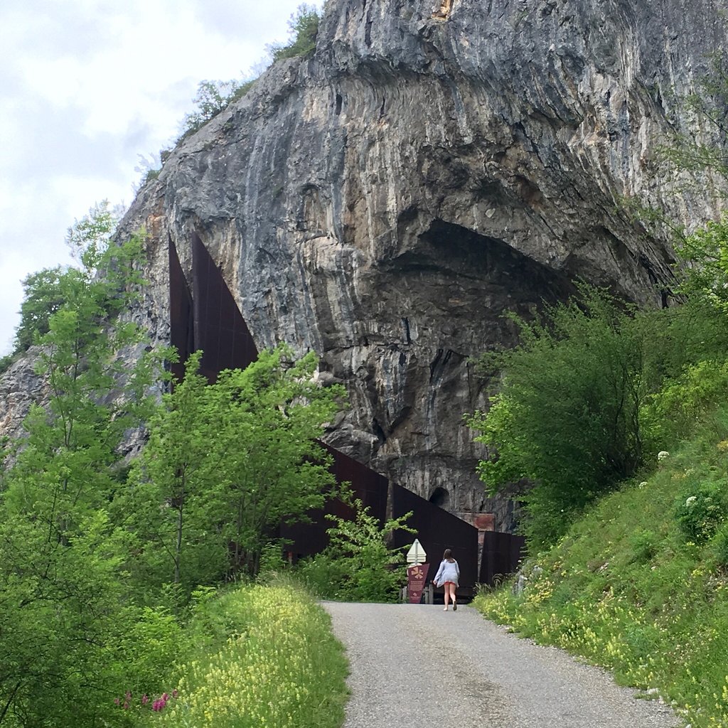 339-grotte-de-niaux.jpg