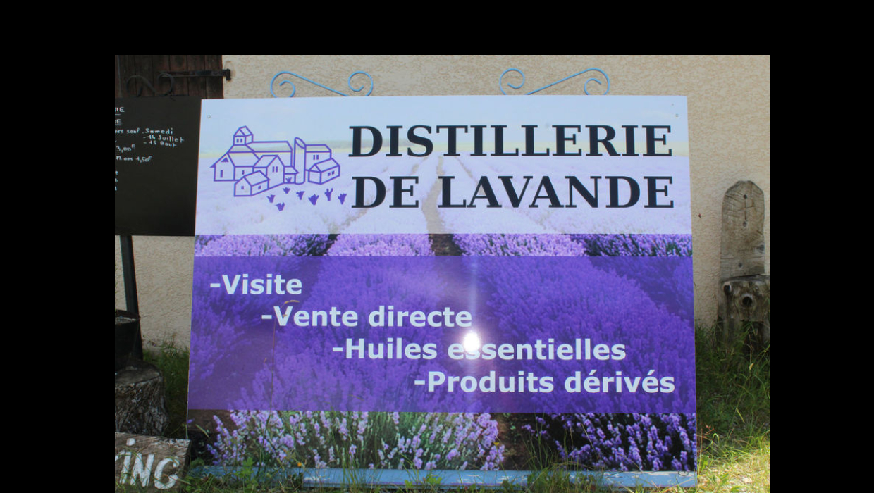 408-distillerie-lavande-bio-pusteaux.jpg