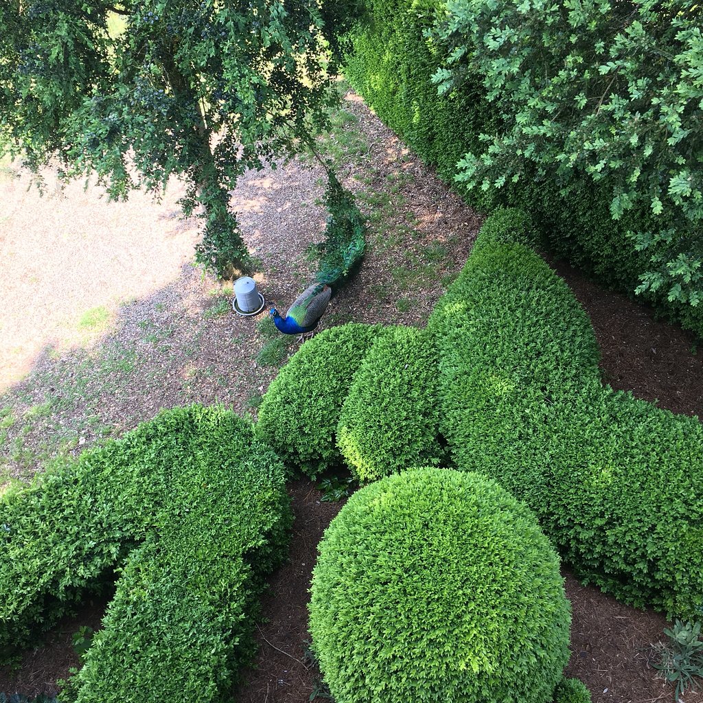 513-les-jardins-de-marqueyssac-vezac.jpg