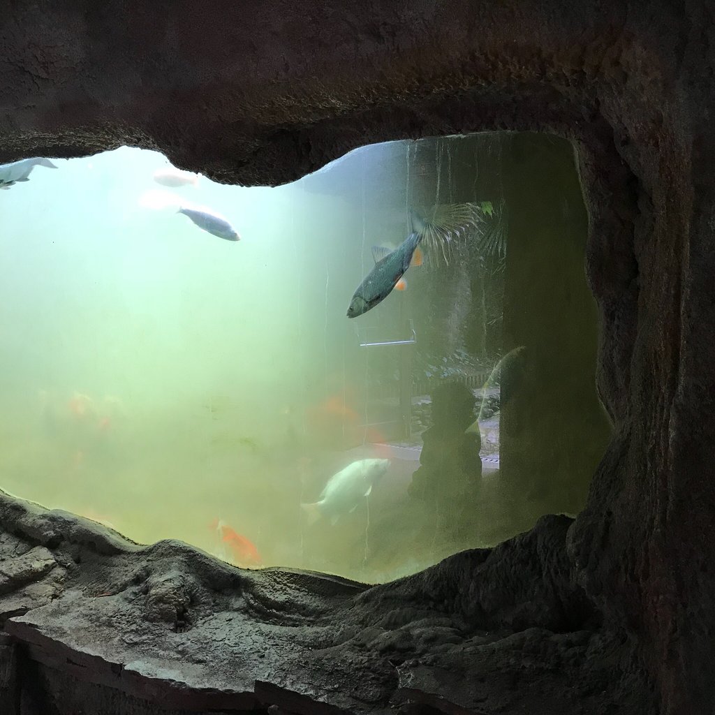 549-aquarium-du-perigord-noir.jpg