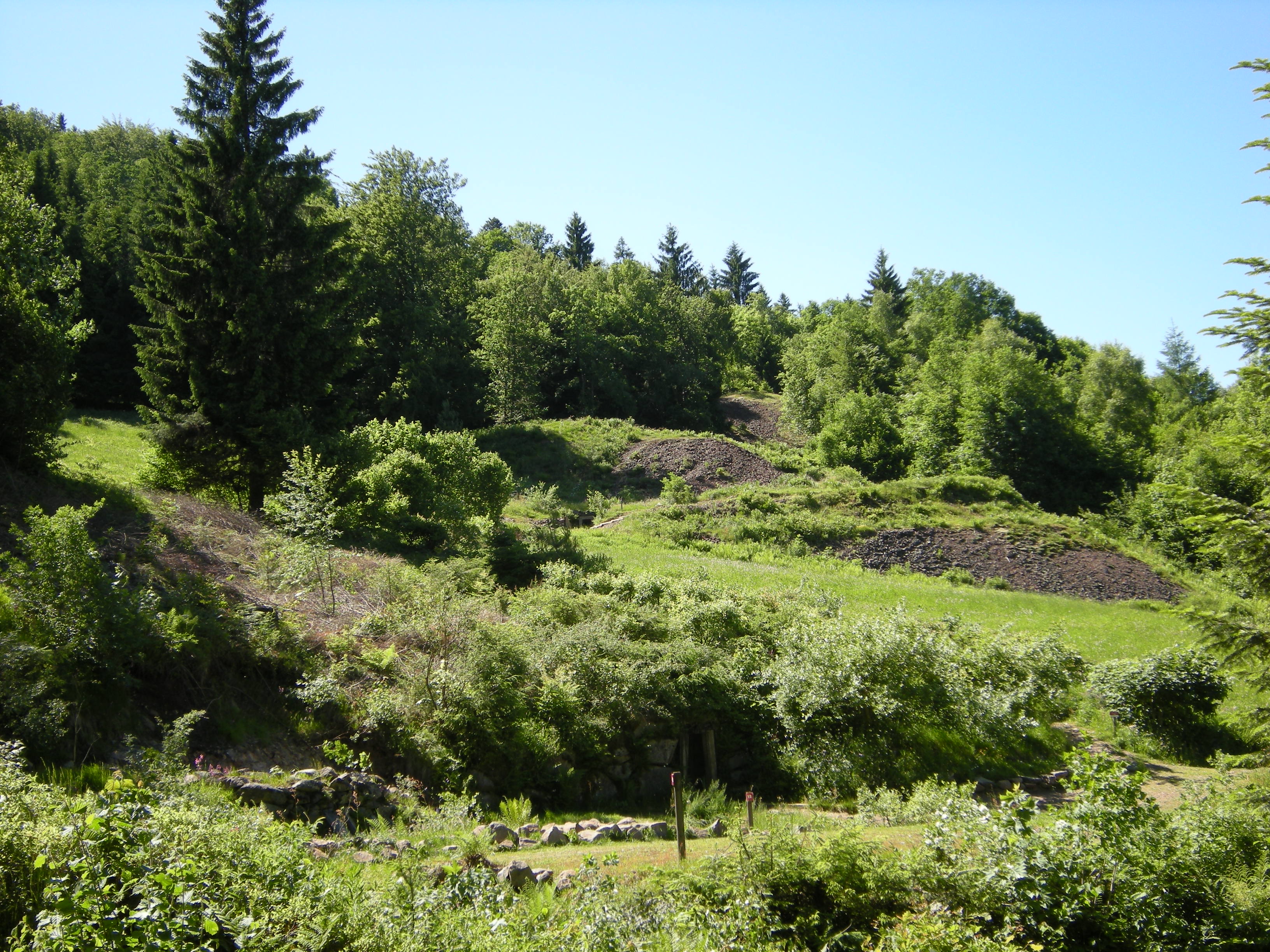 697-les-hautes-mynes-du-thillot-vosges.jpg