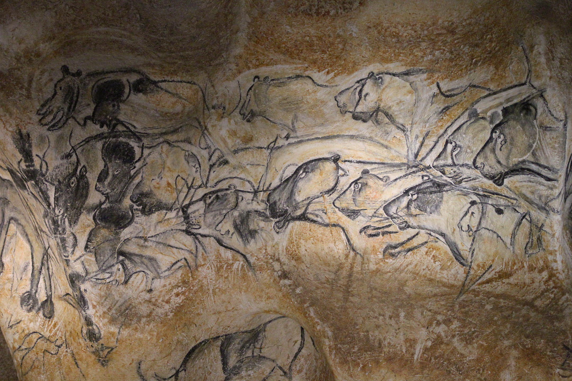 699-caverne-du-pont-d'arc-grotte-chauvet-vallon-pont-d'arc.jpg