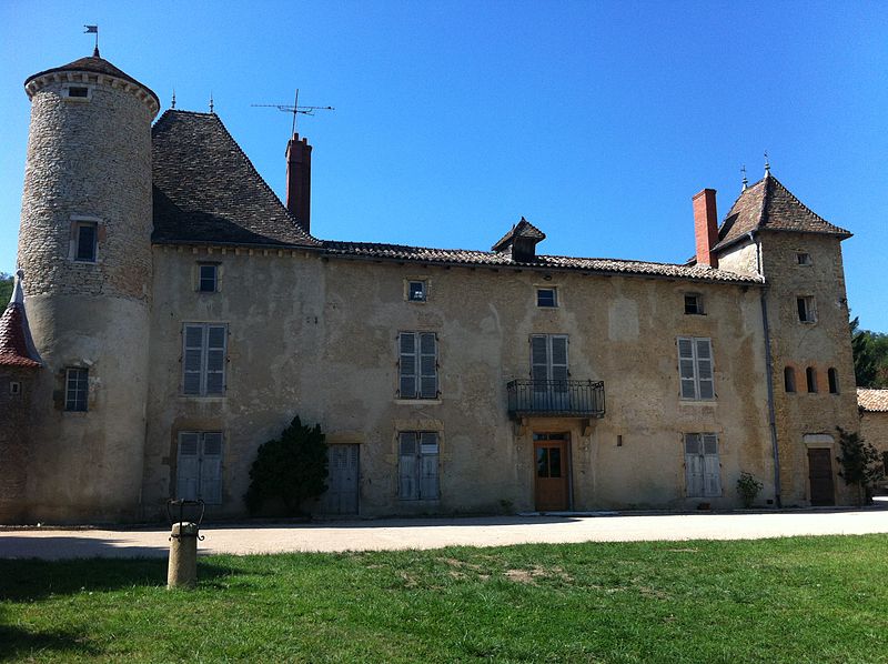 713-chateau-sance-lapalus-maine-et-loire.jpg