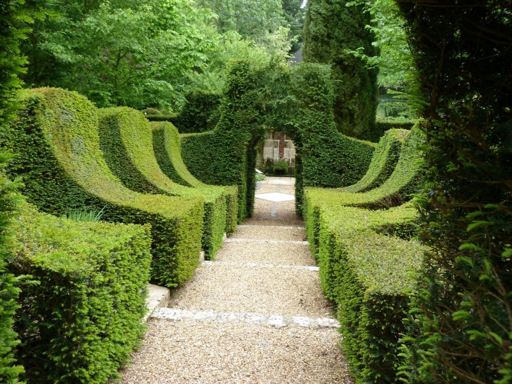 727-jardin-manoir-chalaison-maine-et-loire.jpg