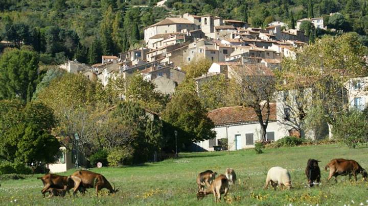 1005-seillans-plus-beaux-villages-de-france-var.jpg