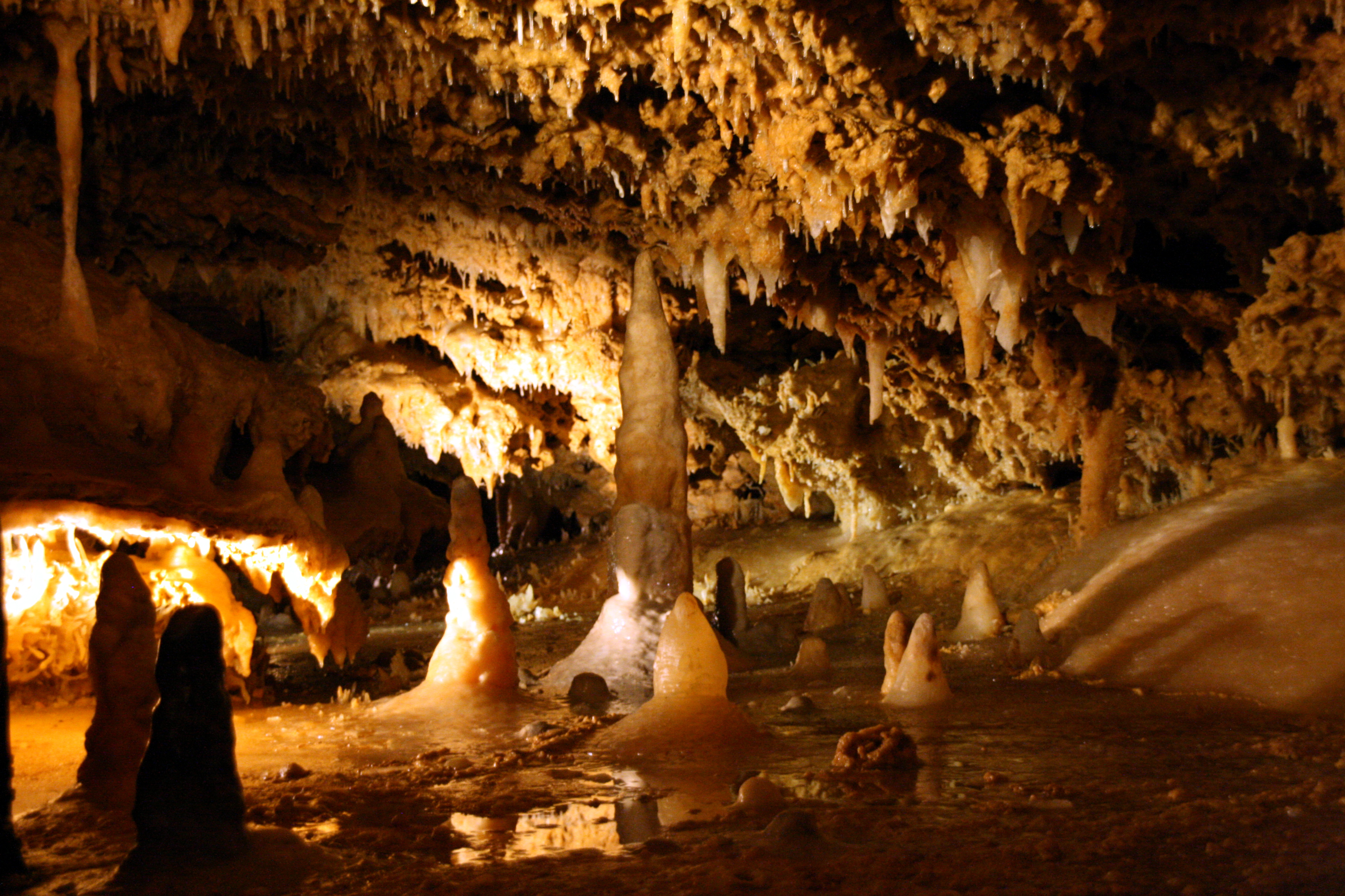 1158-grotte_du_grand_roc_les_eyzies_de_tayac_dordogne.jpg