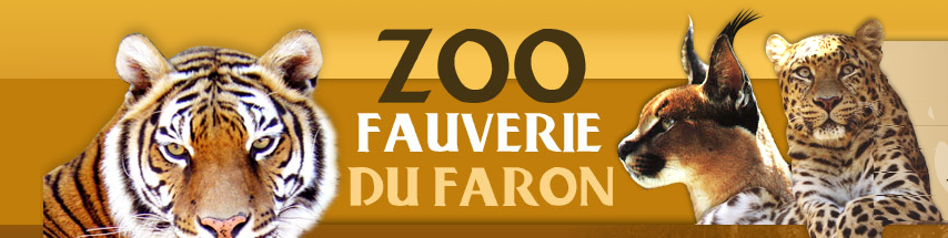 1163-zoo-faron.png