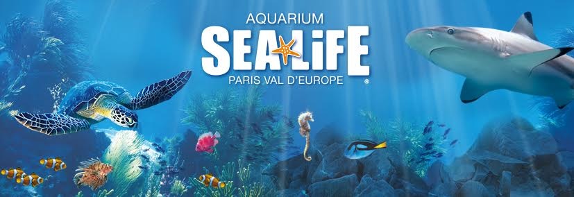 1165-aquarium-val-europe.jpg