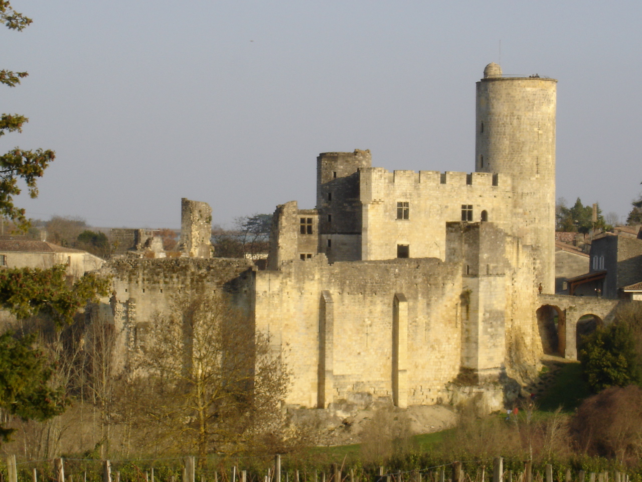 1232-chateau_de_rauzan-gironde-nouvelle-aquitaine.jpg
