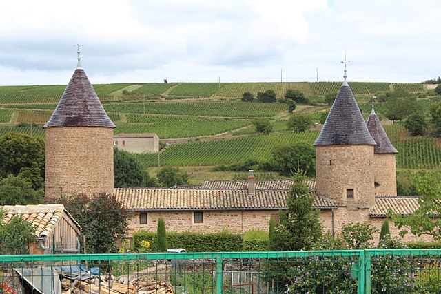 1255-chateau_chasselas-saone-et-loire.jpg