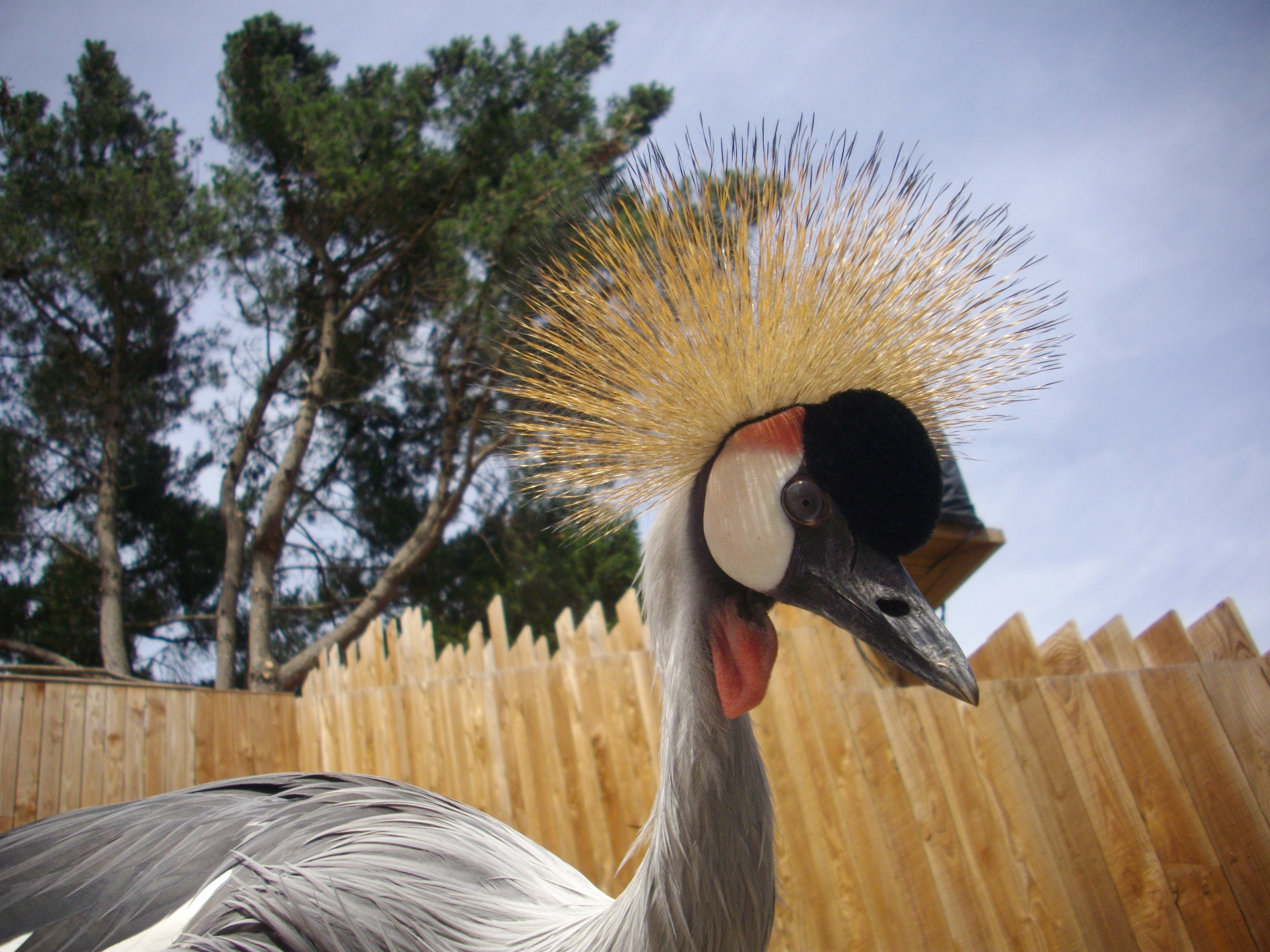 1256-saint-jacut-les-pins_tropical_parc.jpg