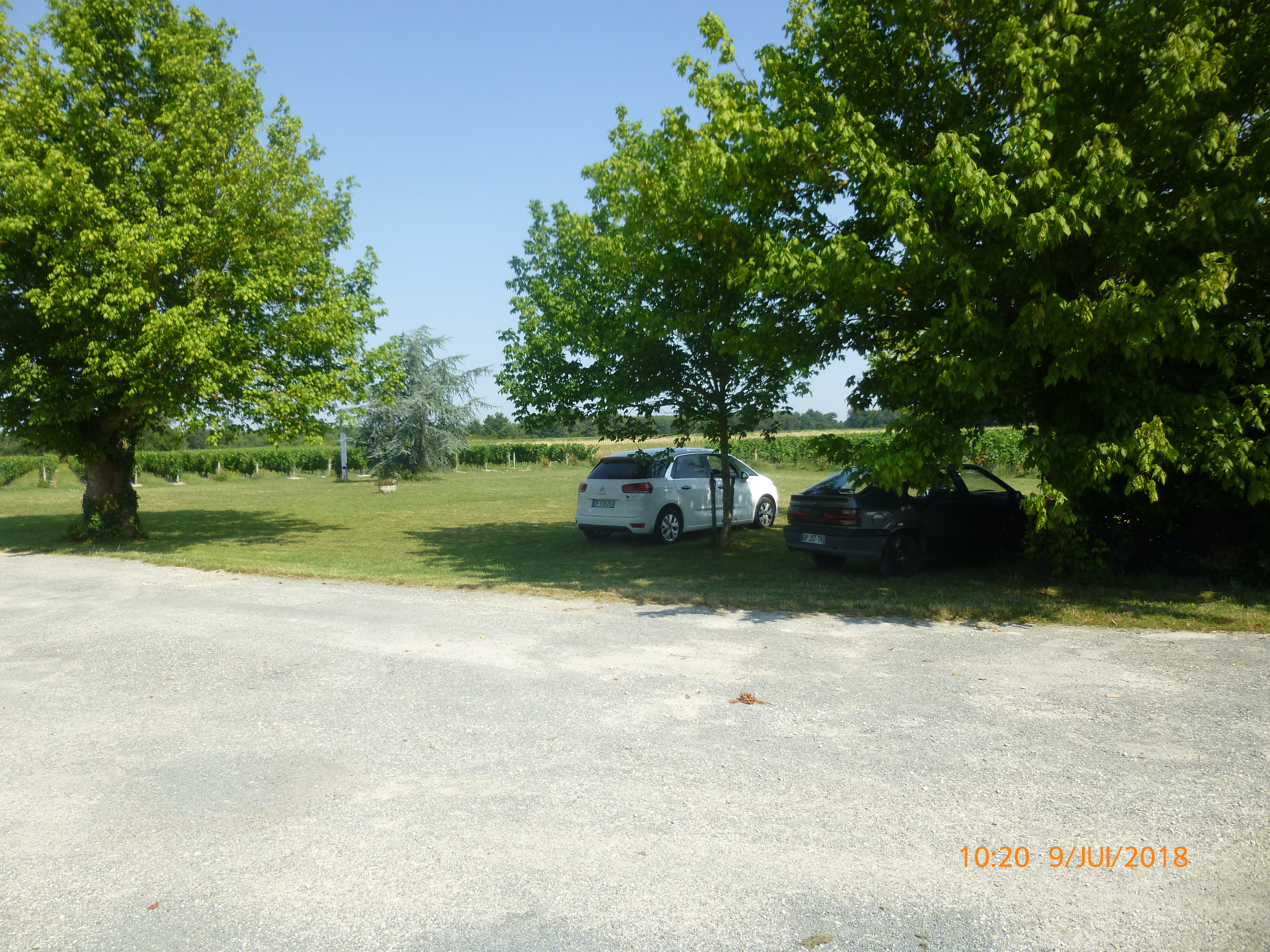 1403-les-vignes-chateau-la-branne-begadan-gironde-nouvelle-aquitaine.jpg