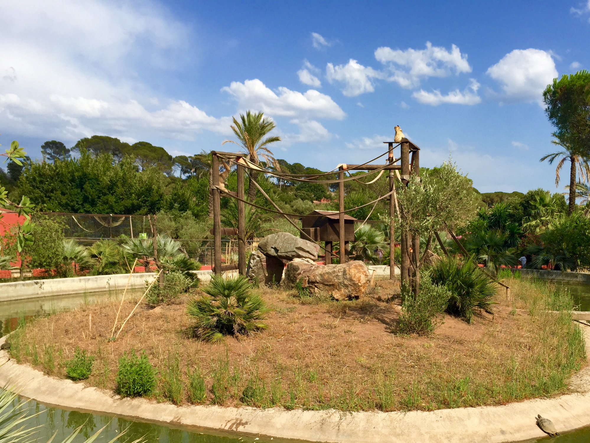 1490-zoo-de-frejus-var-provence-alpes-cote-d'azur.jpg