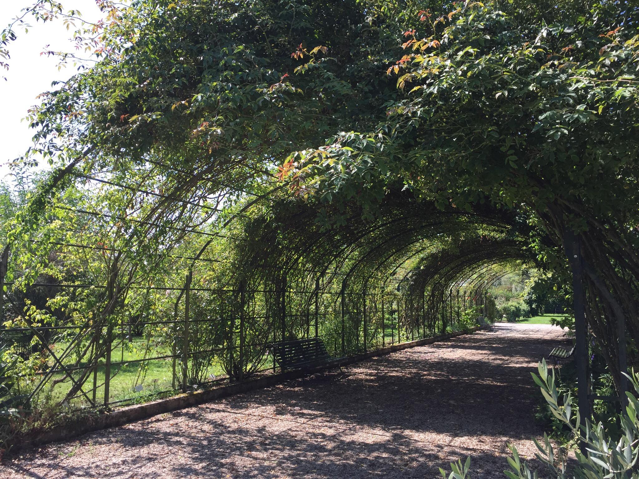 1529-jardin-botanique-marnay-sur-seine-aube.jpg