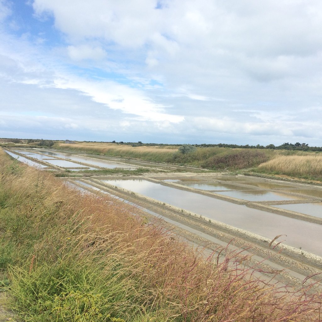 1537-ecomusee-du-marais-salant-loix-ile-de-re-charente-maritime-nouvelle-aquitaine.jpg