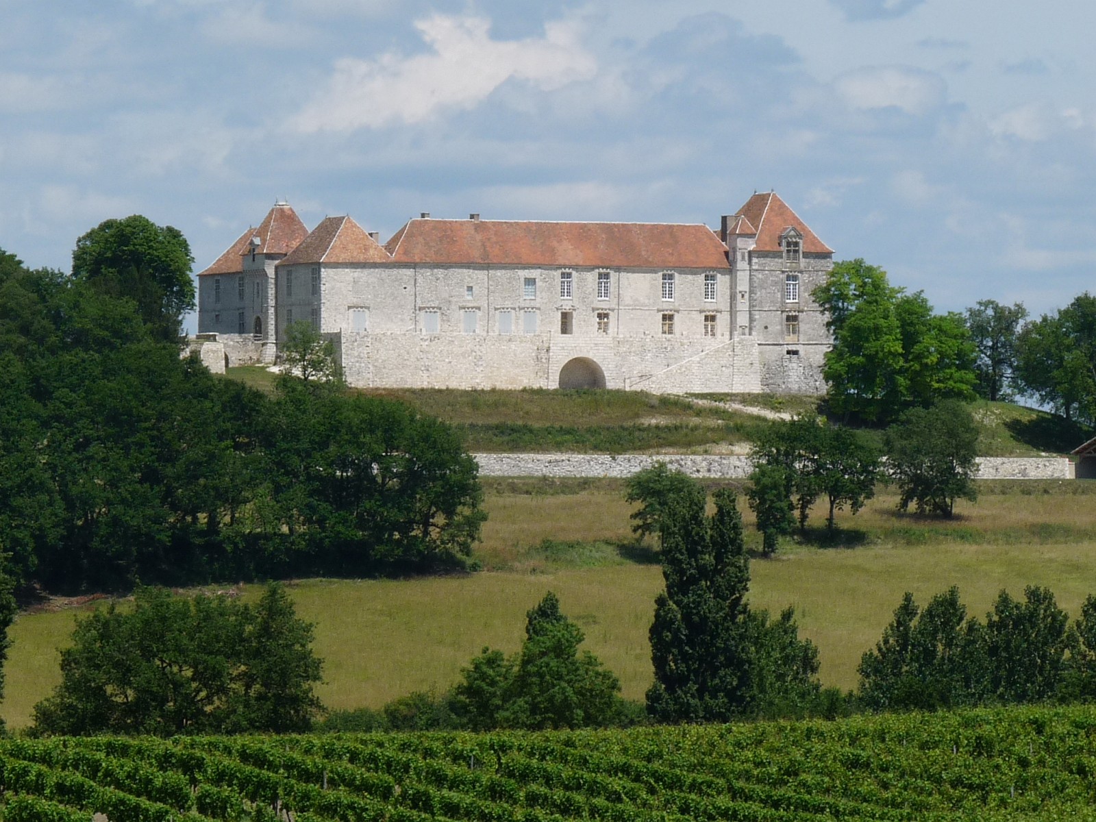 1598-loubes-bernac-theobon-chateau-47.jpg