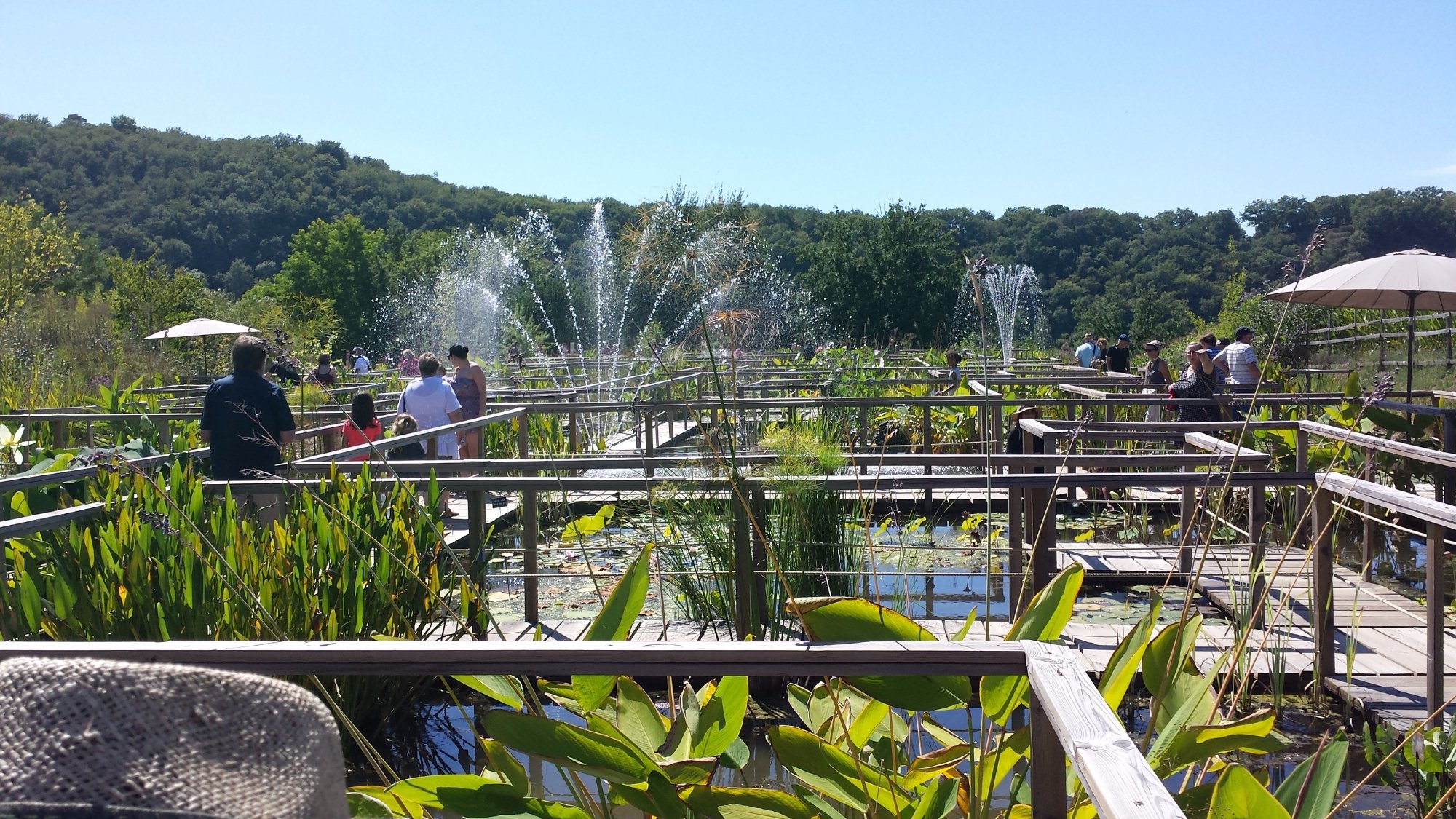 1700-jardins-d'eau-de-carsac-aillac-dordogne-nouvelle-aquitaine.jpg