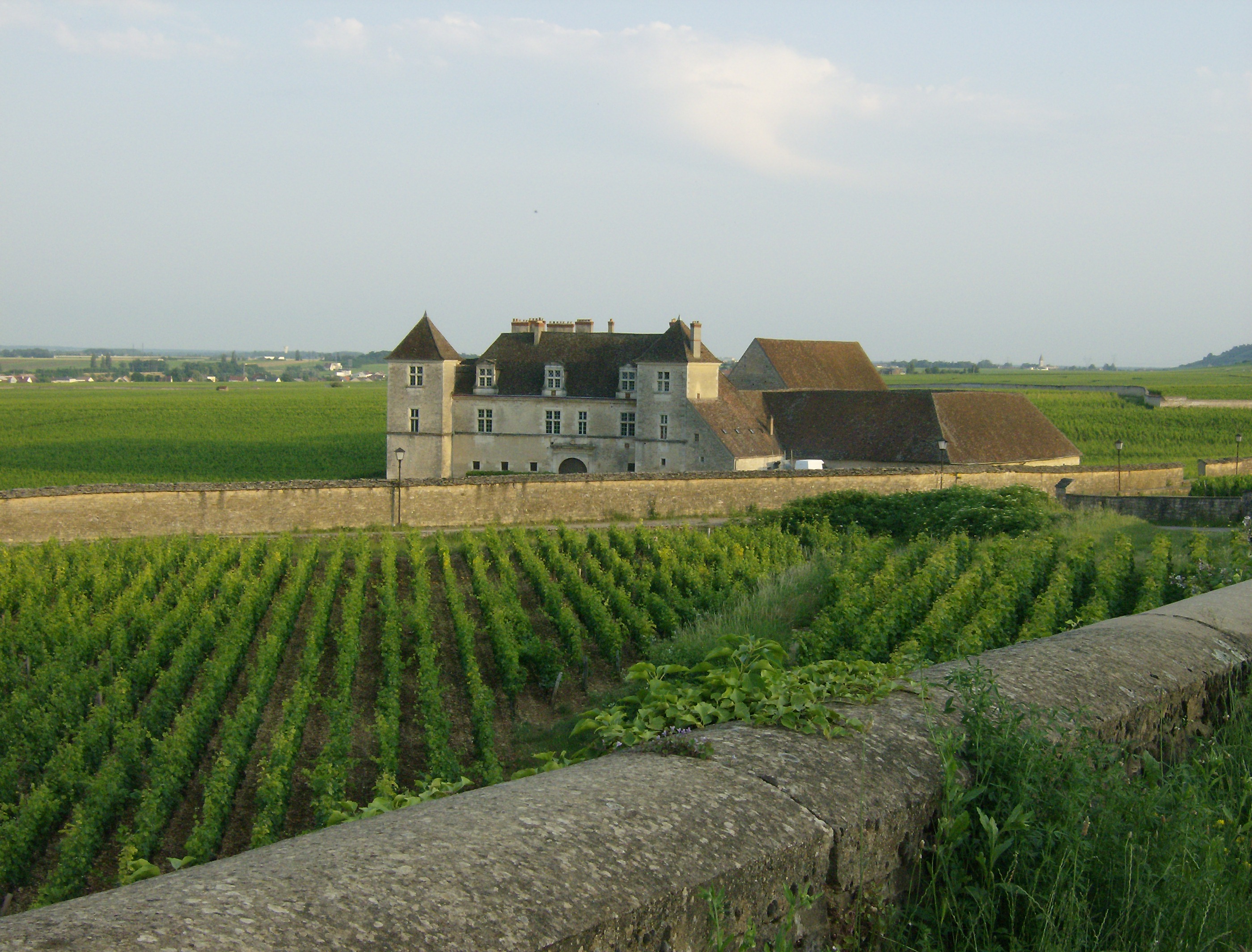 1733-chateau-clos-vougeot-21.jpg