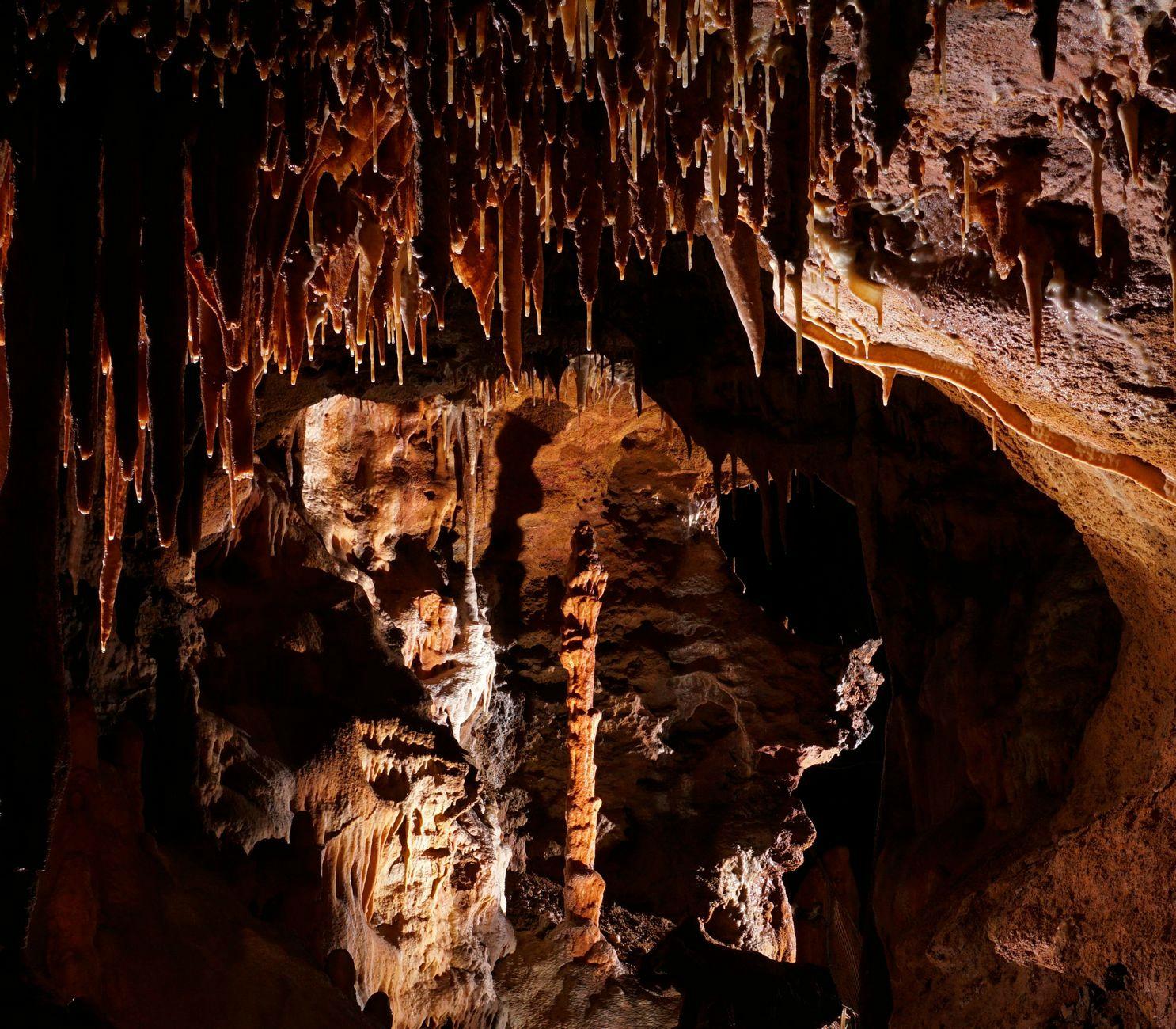 1768-grotte-du-bosc-82.jpg