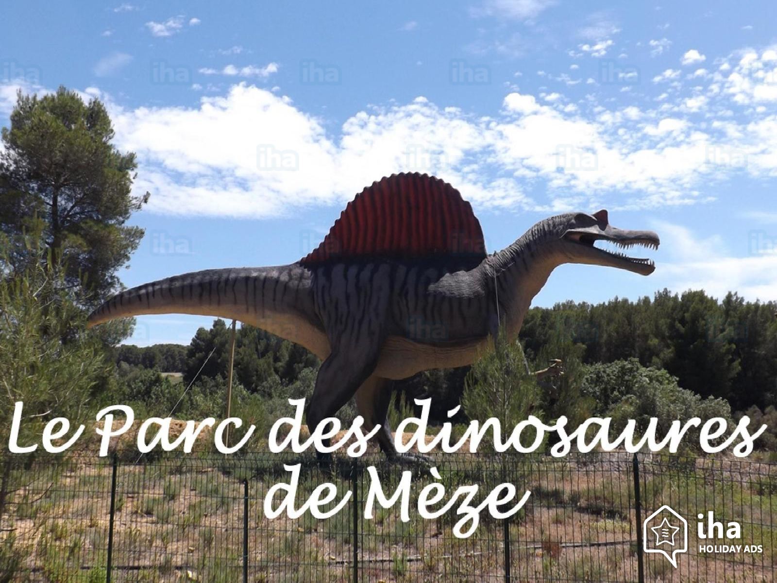1818-musee-parc-des-dinosaures-meze-herault-occitanie.jpeg