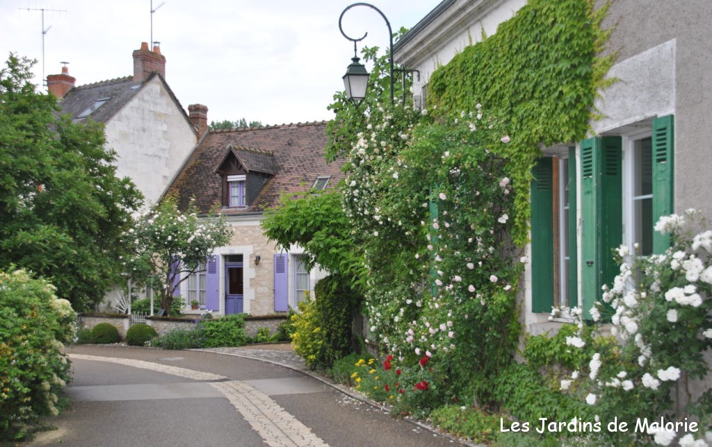 1936-jardin-du-presbytere-de-chedigny-indre-et-loire-centre-val-de-loire.jpg