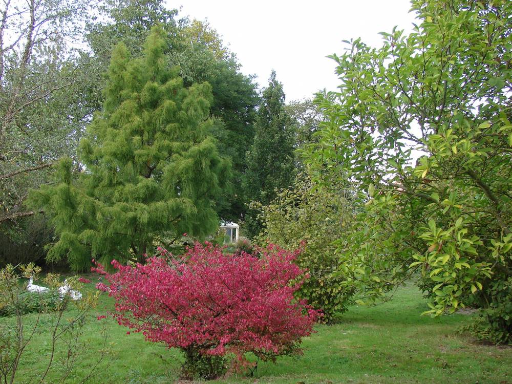 1957-arboretum-de-la-croix-verte-deux-sevres.jpg