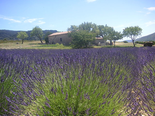 2006-ferme-de-lacontal-du-quercy-tarn-et-garonne.jpg