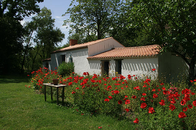 2101-maison-du-peintre-charles-milcendeau-vendee.jpg