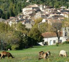 1005-seillans-plus-beaux-villages-de-france-var.jpg