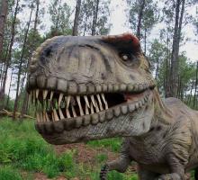 1035-dinosaures-parc-40.jpg