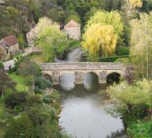 1090-saint-ceneri-le-gerei-plus-beaux-villages-de-france-orme.jpg