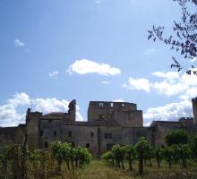 929-larressingle-plus-beaux-villages-de-france-gers.jpg