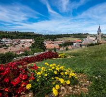 930-lautrec-plus-beaux-villages-de-france-tarn.jpg