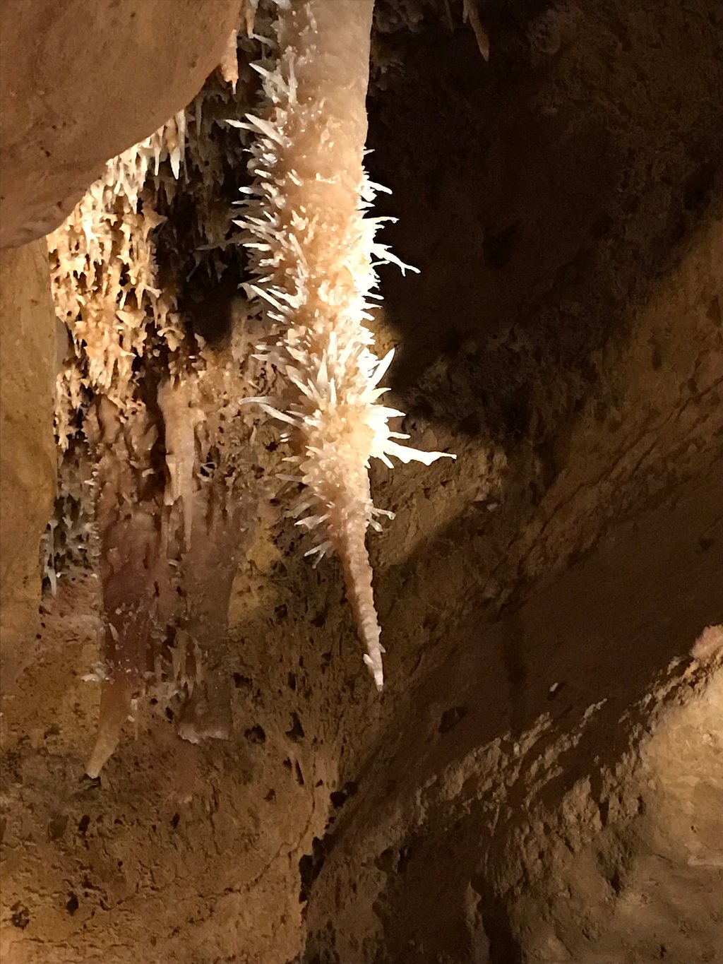 811-les-grottes-de-maxange-le-buisson-de-cadouin-dordogne.jpg