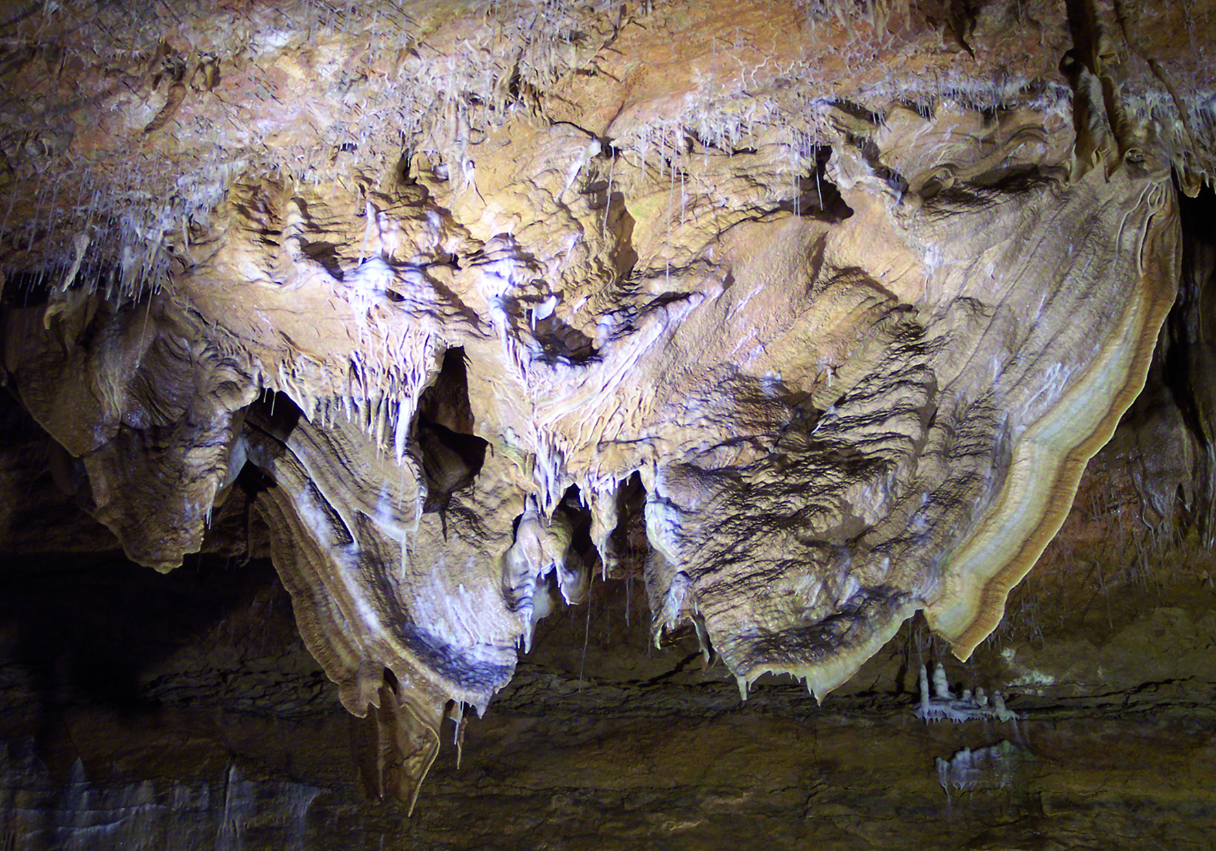 826-grottes_de_trabuc_miallet_gard_france.jpg