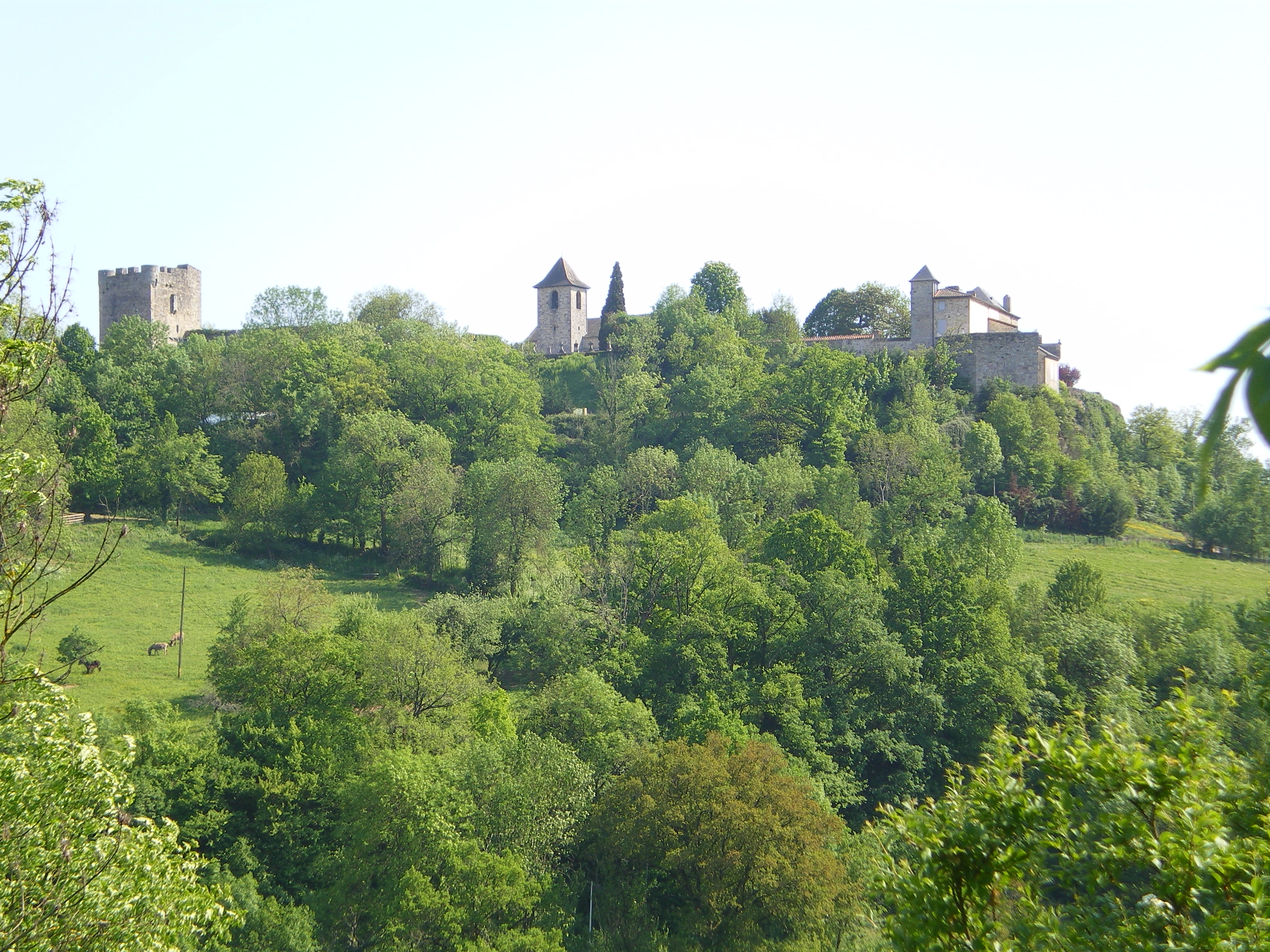 889-capdenac-le-haut-plus-beaux-villages-defrance-lot.jpg