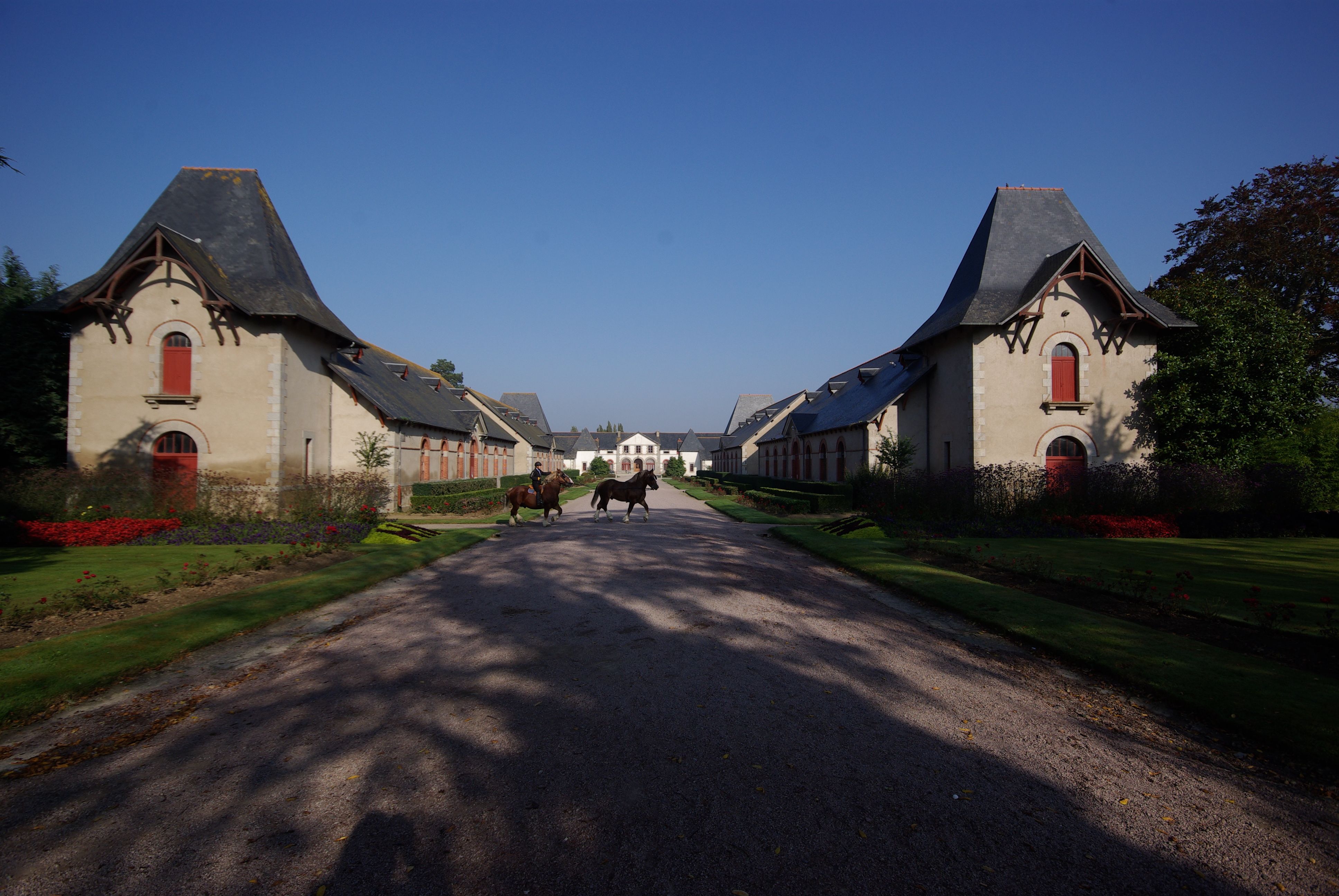 2115-haras-national-de-lamballe-cotes-d-armor.jpg