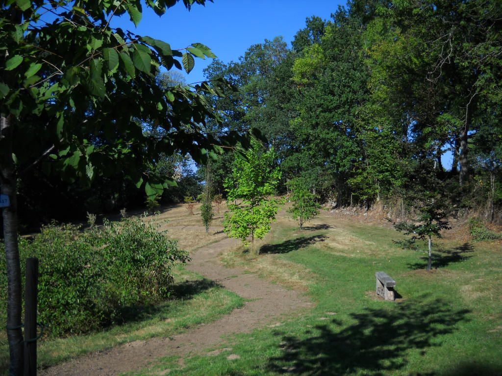 2170-arboretum-du-lys-campagnat-creuse.jpg