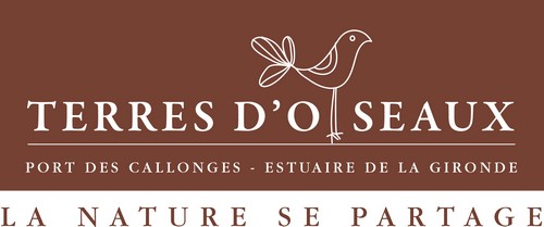 2245-terres-d'oiseaux-33.jpg