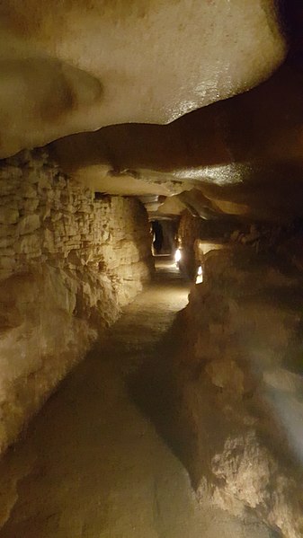 2442-grotte-du-pech_merle_cabreret-lot-occitanie.jpg