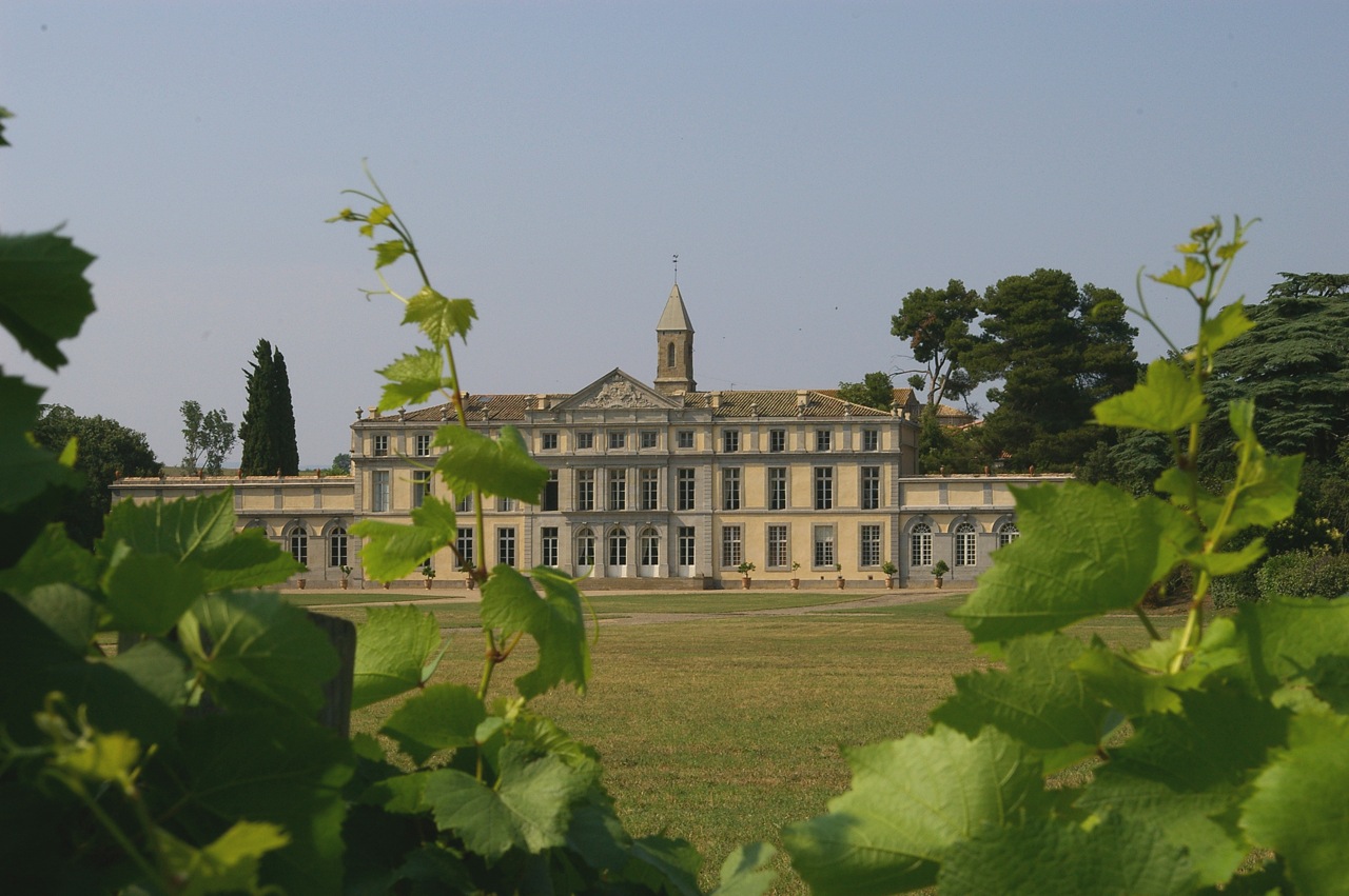 2457-chateau_de_pennautier_11.jpg